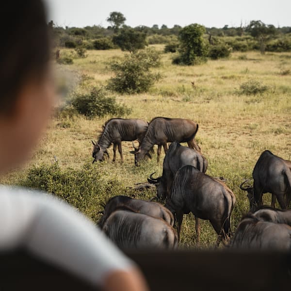 Südafrika Roadtrip: City Vibes & Glamping Nights