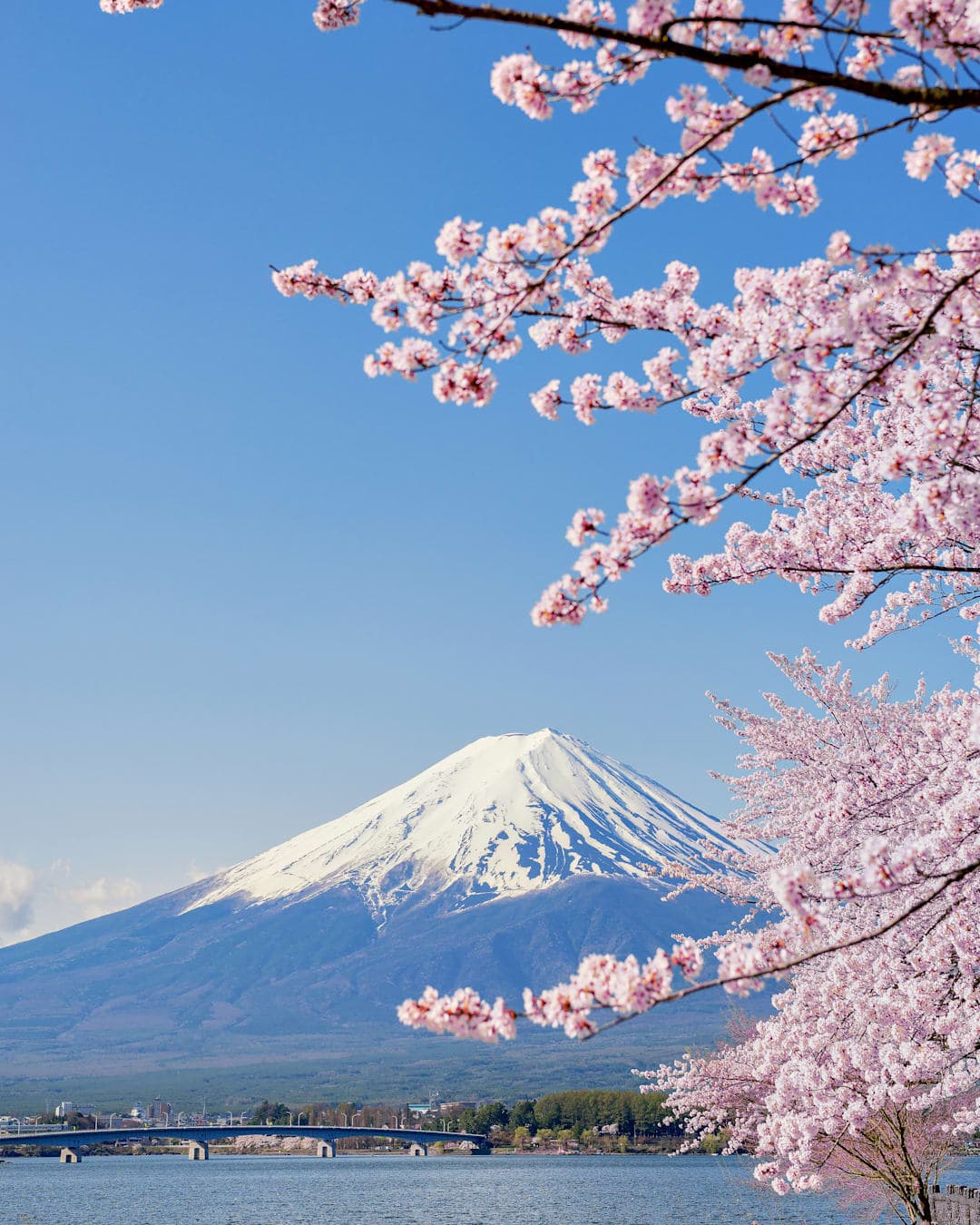 Tokio trifft Kyoto & Mount Fuji